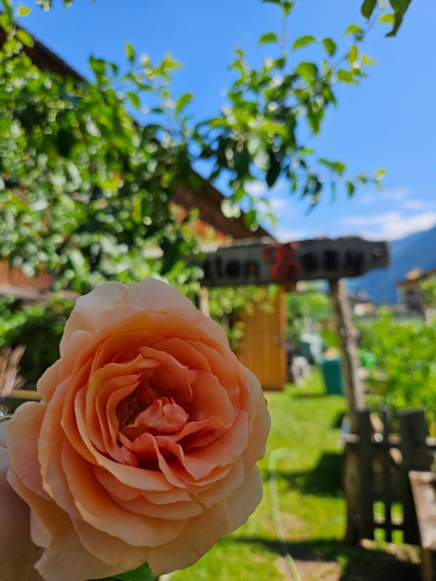 Hotel Edenlehen マイヤーホーフェン エクステリア 写真
